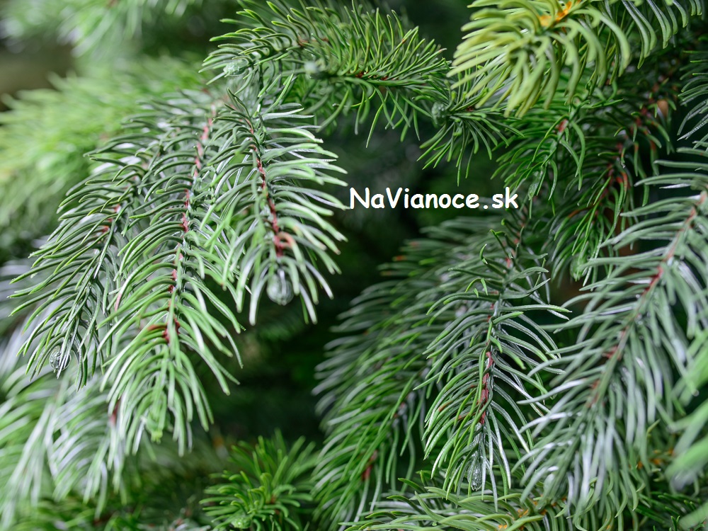 3D vianočné stromčeky umelé nevada